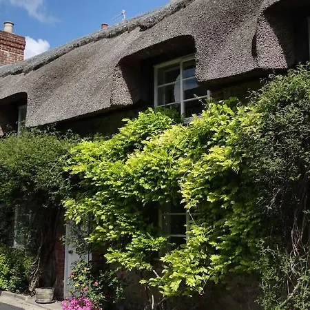 Little Thatch Cottage - Cerne Abbas, Dorset Exterior photo