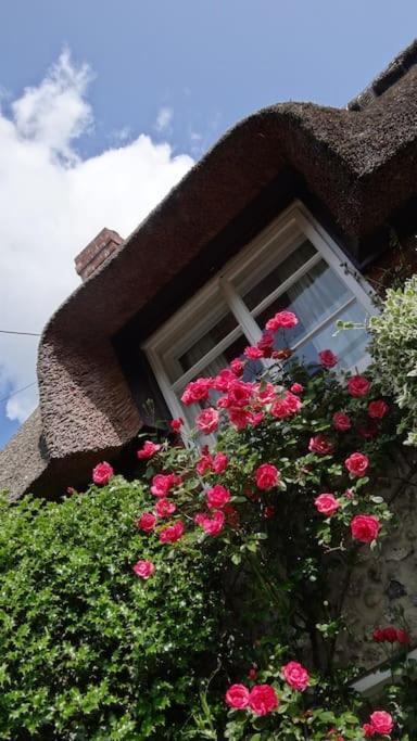 Little Thatch - Cerne Abbas, Dorset Holiday home Cerne Abbas