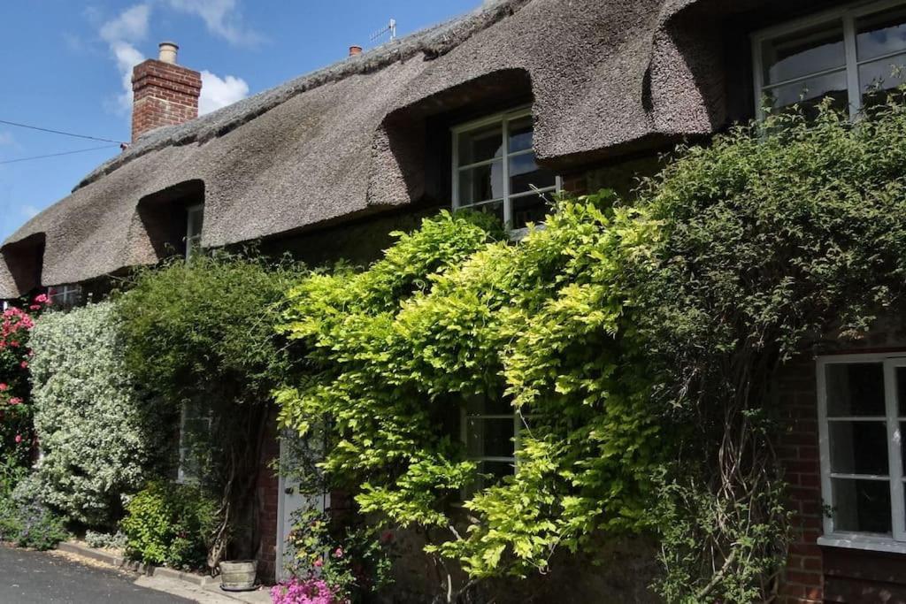 Holiday home Little Thatch - Cerne Abbas, Dorset Cerne Abbas